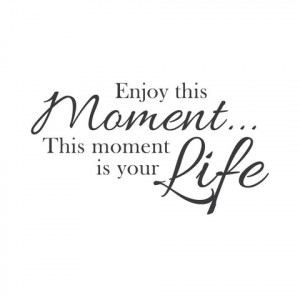 Wall Quotes Wall Decals - Enjoy the Moment