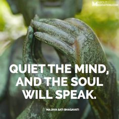 Quiet the mind, and the soul will speak.