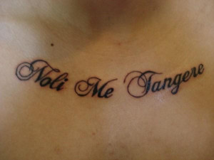 latin text tattoo meaning touch me not chest tattoo of latin writing ...