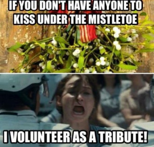 funny-picture-christmas-mistletoe-hunger-games