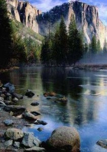 there is nothing positive about being a worry wart 12 03 12