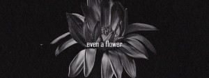 flower bw 1k notes ruki the gazette jpn idek anymore :edits