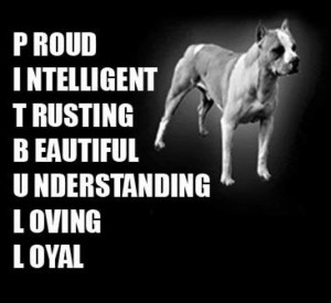 Already have an account? Log in now