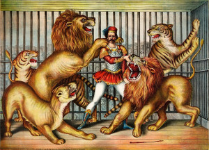 lion tamer doesn't lose sleep over