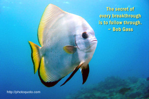 View Full Size (1280 x 853)