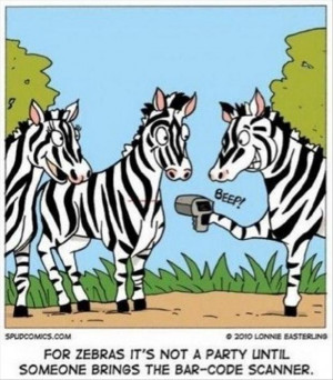 funny zebra pictures