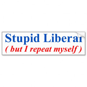 Stupid Opinion Bumper Stickers