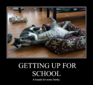 It's back to school here in Dubai. To add up to that daily routine ...