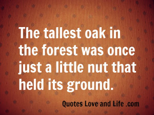 ... was once just a little nut that held its ground ~ Inspirational Quote