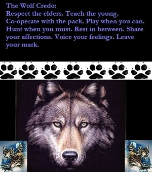 The Wolf Credo Image