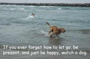 If you ever forget how to let go, be present, and just be happy ...