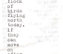 Poems About Love Birds