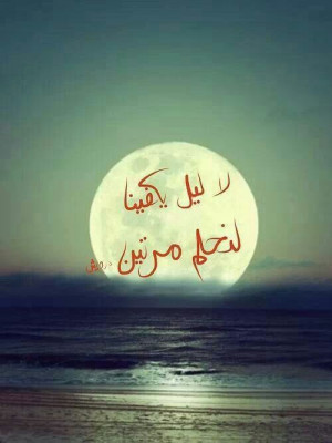 لن يكفيني 1000 ليل !!