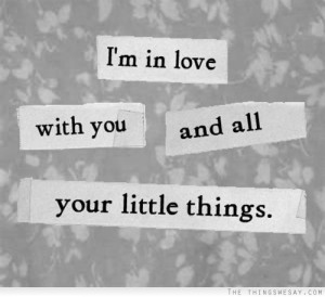 in love with you and all your little things