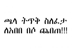 amharic funny quotes