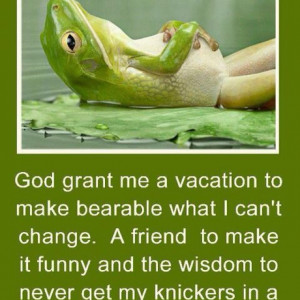 Funny The Serenity Prayer Quotes