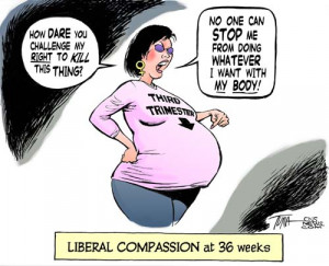 Abortion . . . who makes the decision?