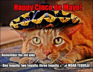 Happy Cinco De Mayo Funny Quotes and Sayings
