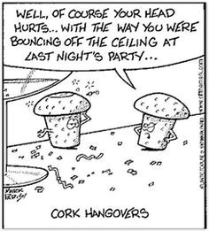 more wine quotes wine 101 sparkle corks funny stuff wine memes corks ...