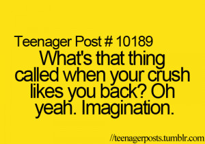 Whats it called when your crush likes you back ? Oh yeah imagination