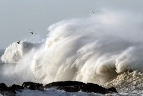 to scare people, but the likelihood of a hurricane hitting Charleston ...