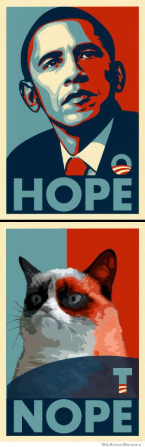 Hope Nope Grumpy Cat poster