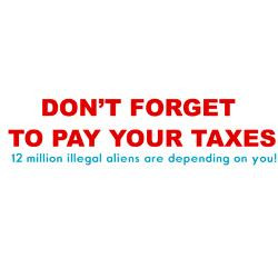 pay_your_taxes_humor_rectangle_stickers.jpg?height=250&width=250 ...
