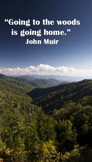woods is going home.” John Muir – Image of Great Smoky Mountains ...
