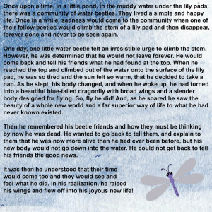 You need to enable JavaScript to vote