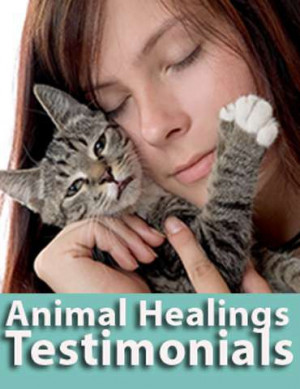 ... schedule an animal communication and Animal Reiki session with us now