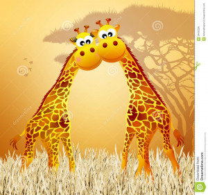 Giraffe Love Royalty Free Stock Photo Image