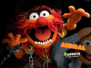 ... 10 about the new muppets movie released in the uk on 10th february