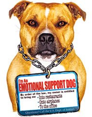 beth landman writes in wagging the dog and a finger