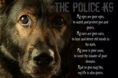 ... police k9 german shepherdschutzhund k9so true the police law