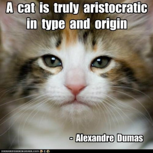 Famous Cat quotes that deserve a capshun!....
