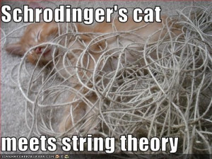 Schrodinger's cat meets string theory
