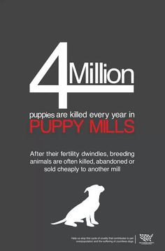 Puppy Mill Awareness Day is Tomorrow, 9/21. Educate yourself on #Puppy ...