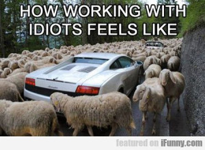 How Working With Idiots Feels Like...