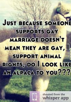 supports gay marriage doesn't mean they are gay, I support animal ...