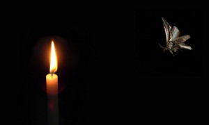 Magnetised - Lester Queripel