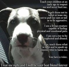 unconditional love more animal rescue animal right best friends ...
