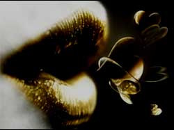 Her kisses left something to be desired... the rest of her.