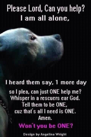 Death Row Dog's Prayer. Will you be a hero and rescue a dog today?