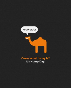 hump day camel | Funny #Geico #HumpDay Camel Poster & Fan Art | Poster ...