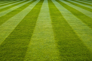 Lawn Mowing Patterns: Picture Perfect Fields for Spring