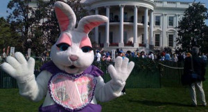real easter bunny sightings