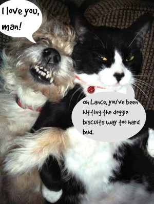 Dogs and Cats Living Together = Mass Hysteria! Take a Look at These ...