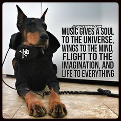 ... good for the soul. #doberman #crazyrebels #quotes #inspiration #music
