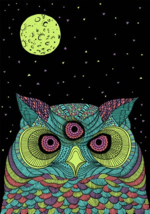 ... drugs colorful bird tripping owl psychedelics third eye animated GIF