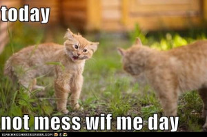 funny pictures - today not mess wif me day